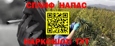 дмт Славянск-на-Кубани