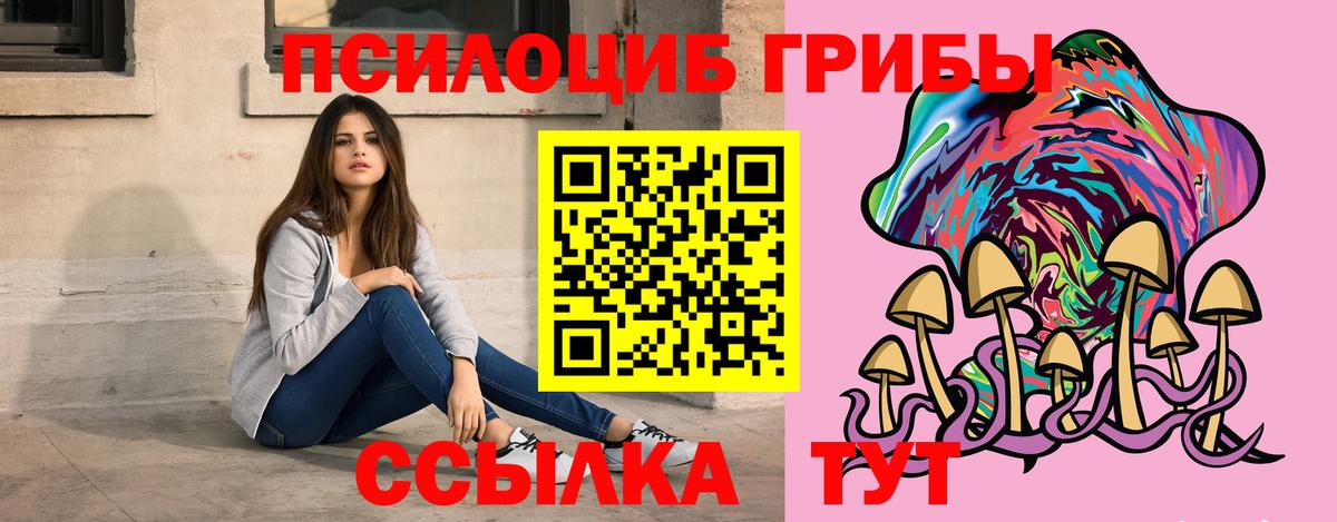 Галлюциногенные грибы Cubensis  Псилоцибиновые грибы мицелий  Тамбов  наркотики  Вход с VPN 